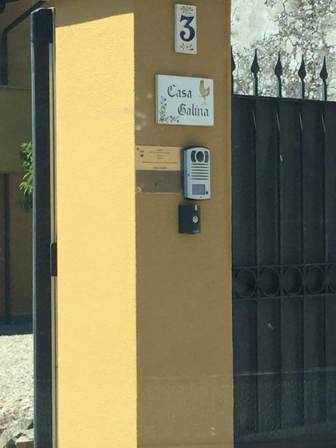 Casa Galina Villa Ciggiano Eksteriør billede